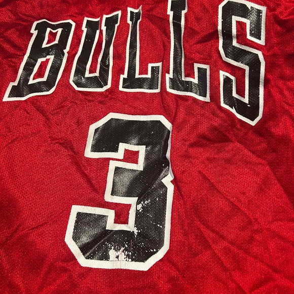 Ben Wallace Classic Jersey - Vintage NBA Collectible - Picture 4 of 5